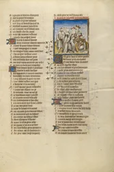 Música en el jardín